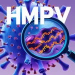 human metapneumovirus infections